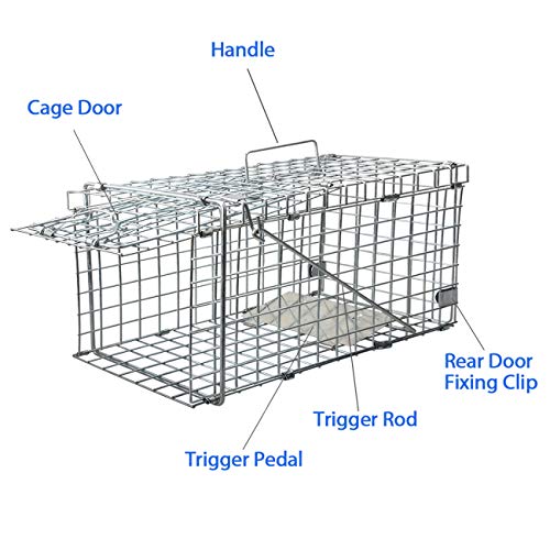 Heavy Duty Live Animal Trap for Squirrels and Small Rabbits V8753
