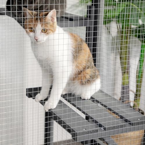 Outdoor Cat Enclosure Weatherproof Wooden Catio with 3 Platforms Grey D292834