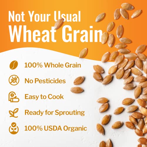 Grand Teton Organic Hard White Wheat Berries, 43 lbs H359668