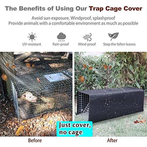 Live Animal Trap Cage with Cover 32 Inch Heavy Duty Folding for Raccoons, Opossums, Feral Cats A154