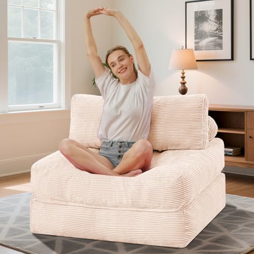 HABUTWAY Folding Sofa Bed Convertible Sleeper Chair with Dual-Pillow, Black D26880