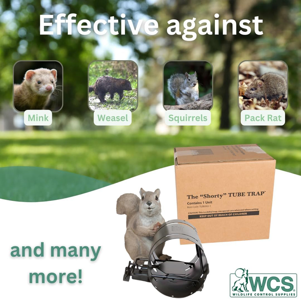 Shorty Tube Squirrel Trap by Wildlife Control Supplies H509415