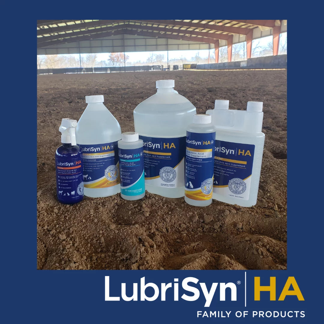 LubriSyn HA Joint Supplement for Equine & Pet, 32 oz J452840