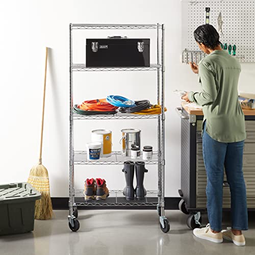 Amazon Basics 5-Shelf Heavy Duty Storage Shelving Unit on Casters, Black A813013