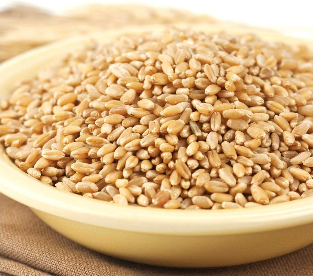 Wheat Montana Prairie Gold Wheat Berries 50lb Bag S41227