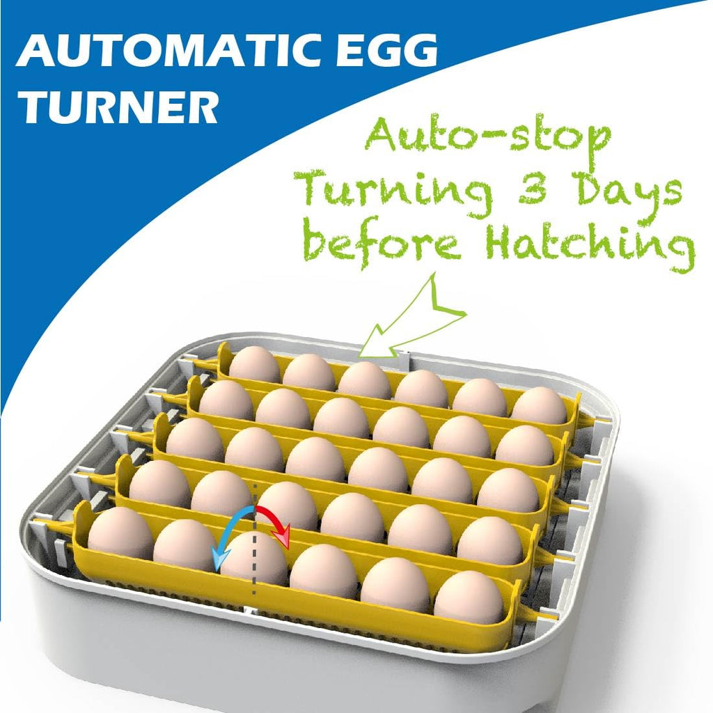 MATICOOPX 30 Egg Incubator with Humidity Display and Automatic Egg Turner U324671