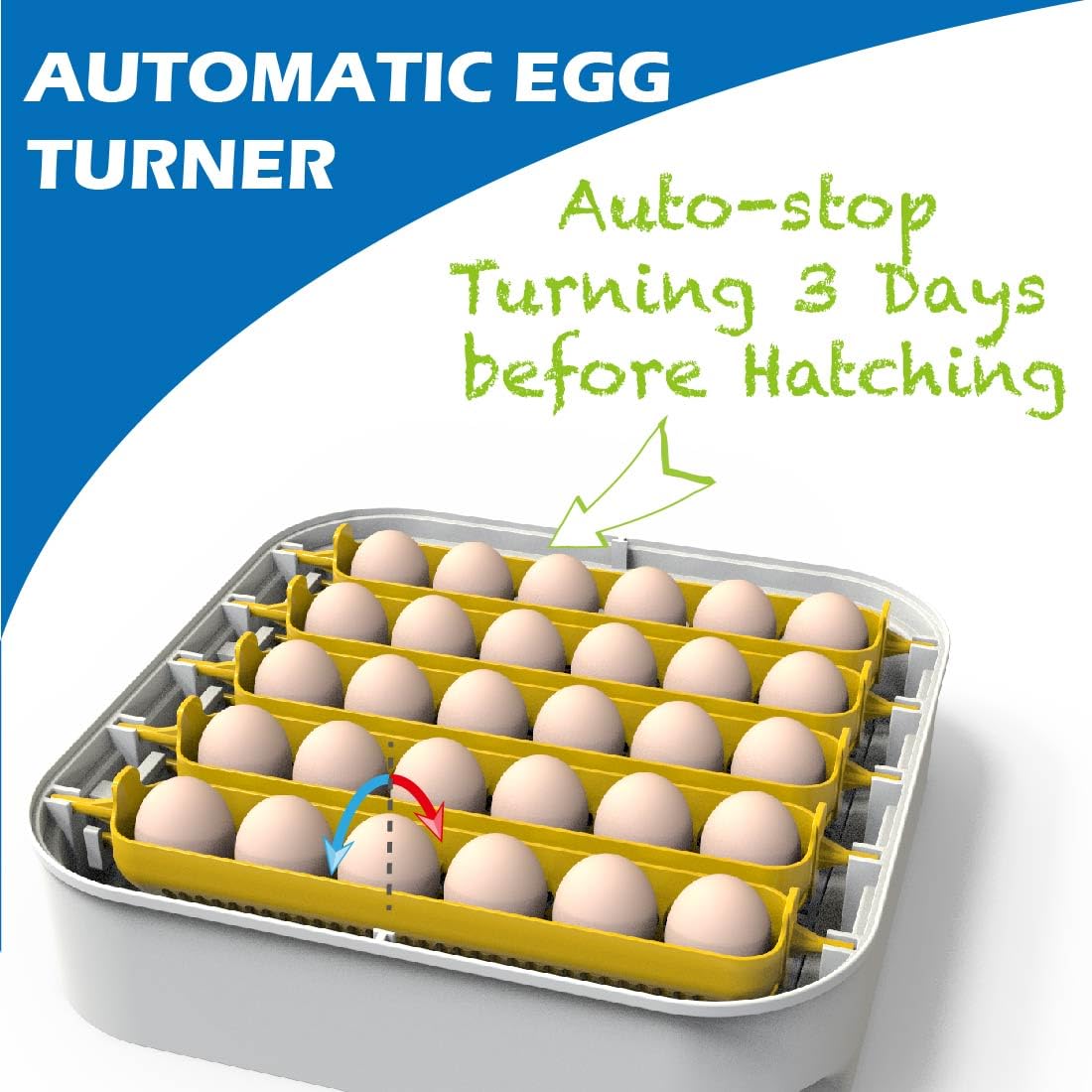 MATICOOPX 30 Egg Incubator with Humidity Display and Automatic Egg Turner U324671