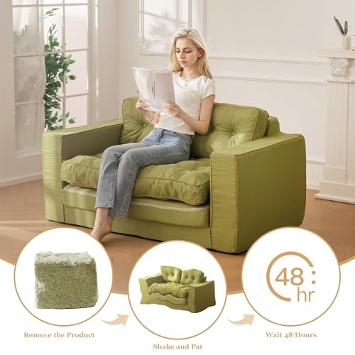 YOSHOOT Loveseat Sleeper Sofa 55" Convertible Sofa Bed Couch with Reclining Backrest U145129