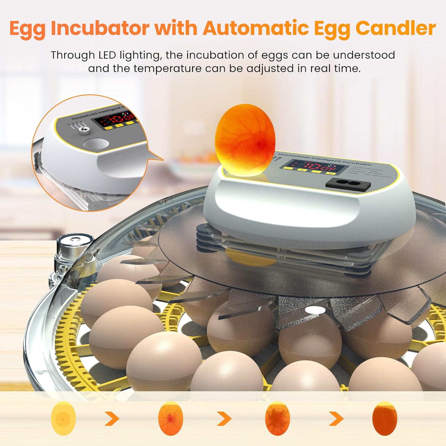 Incubators for Hatching Eggs, 18-60 Eggs with Auto Turning and Water Adding J66328
