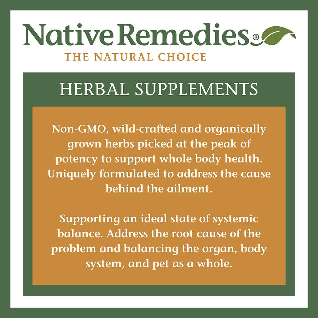 Native Remedies UTI-Clear Urinary Tract & Bladder Health Herbal Supplement, 2-Pack Z137