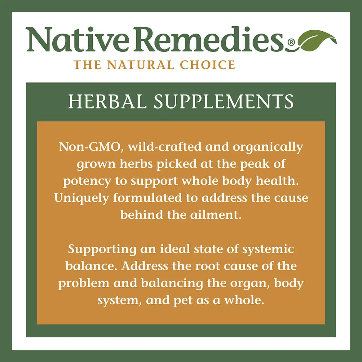 Native Remedies UTI-Clear Urinary Tract & Bladder Health Herbal Supplement, 2-Pack Z137
