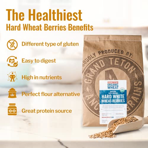 Grand Teton Organic Hard White Wheat Berries, 43 lbs H359668