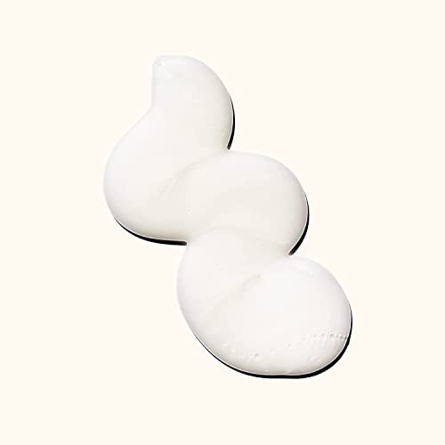 amika normcore signature shampoo L1519