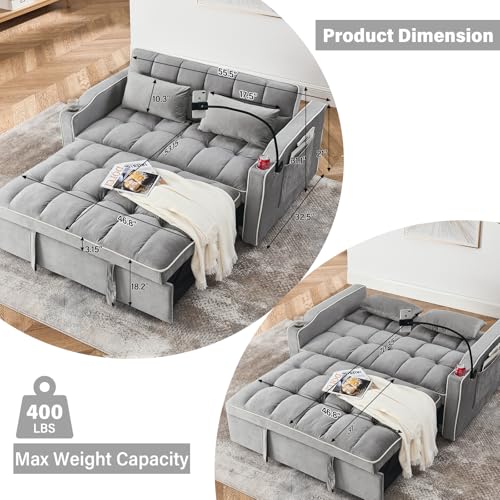 WIIS' IDEA Convertible Sofa Bed 3-in-1 Velvet Sleeper with Adjustable Backrest, Gray L188547
