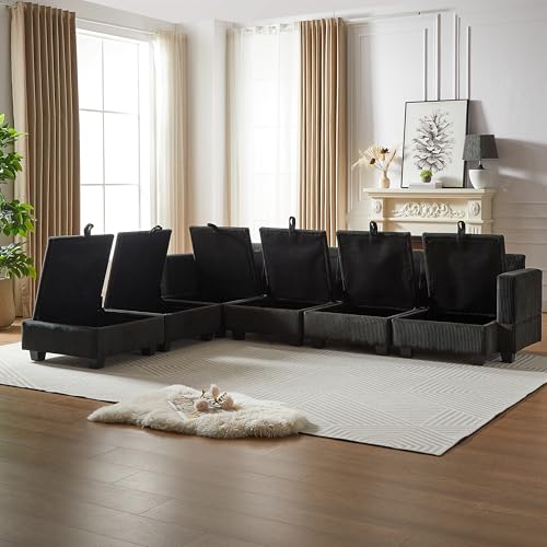 FANYE L/U-Shaped Modular Storage Sectional Sofa with 2 Pillows S72583