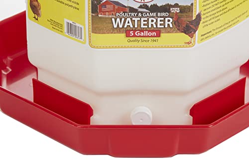 Little Giant® Plastic Poultry Waterer 3 Gallons N672