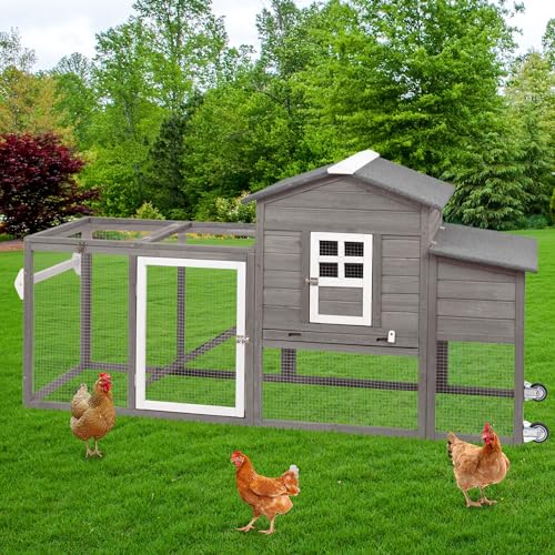 Wooden Chicken Coop with Nesting Box and Removable Tray (Grey) I6509