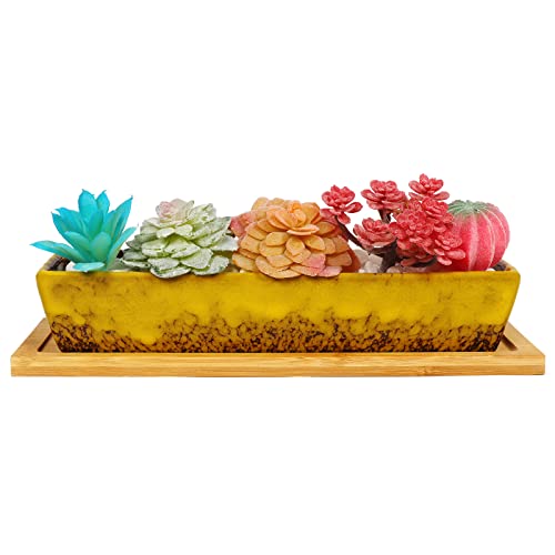 10 Inch Long Rectangle Ceramic Succulent Pots - Large Succulent Planters with Drainage, Cactus Planter Pot with Tray Ceramic Bonsai Flower Plant Container Shallow Window Planters (White)