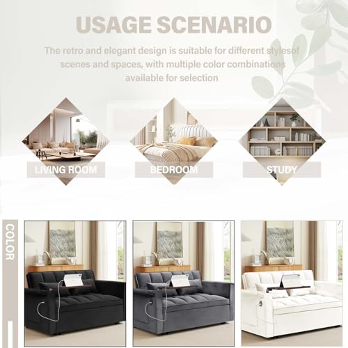 WIIS' IDEA Convertible Sofa Bed 3-in-1 Velvet Sleeper with Adjustable Backrest, Gray L188547