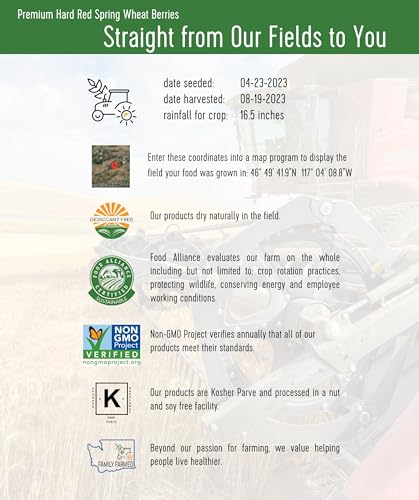 Hard Red Spring Wheat Berries 25 lbs Non-GMO Kosher N815033