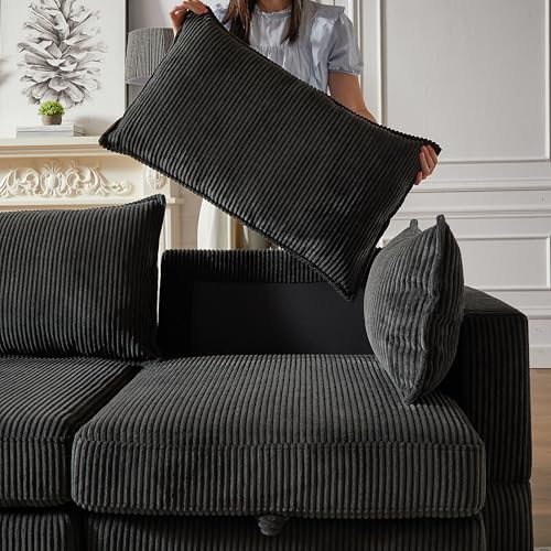 FANYE L/U-Shaped Modular Storage Sectional Sofa with 2 Pillows S72583