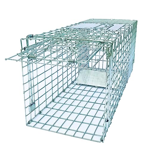 Collapsible Humane Live Animal Cage Trap No-Kill Trapping Kit for Humane Catch Release Rodent Small Cat, Rabbits, Squirrel, Opossum, Squire, Raccoon, All Fit Sized Small Animals, 2-Doors 24"x8.5"x7.5"