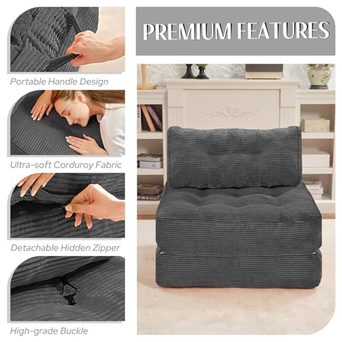 HABUTWAY Folding Sofa Bed Convertible Sleeper Chair with Dual-Pillow, Black D26880