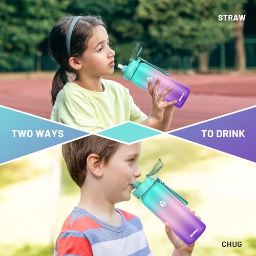 32oz Stainless Steel Insulated Water Bottle with Straw Lid B367