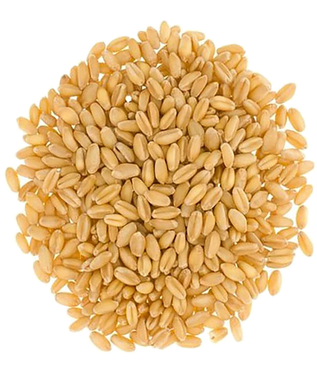 Hard White Wheat Berries 3-4 LB Kraft Bags, Non-GMO, Kosher M796474