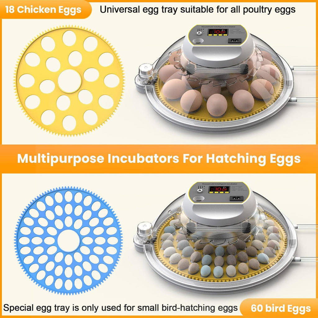 Incubators for Hatching Eggs, 18-60 Eggs with Auto Turning and Water Adding J66328