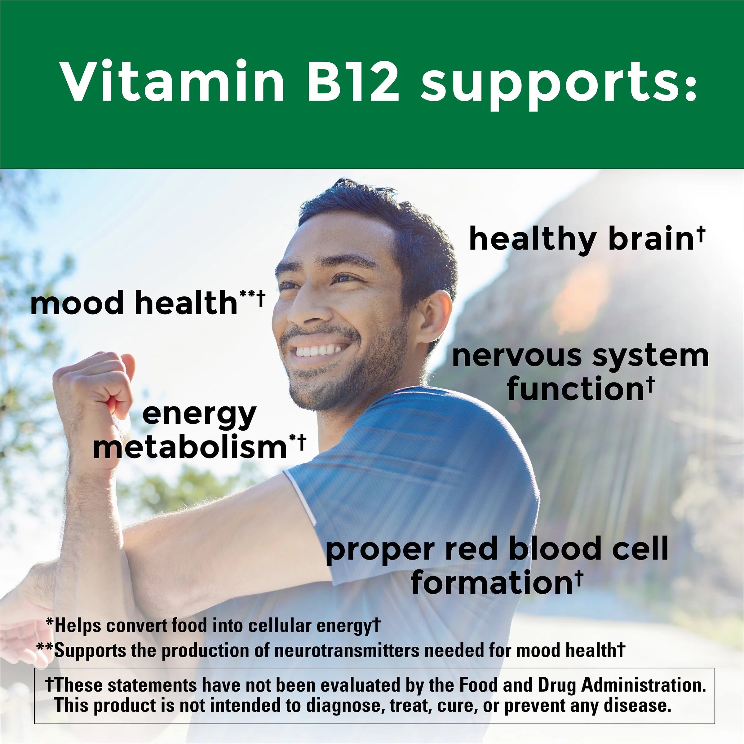 Nature Made Vitamin B12 1000 mcg Softgels, 310 Count D84526