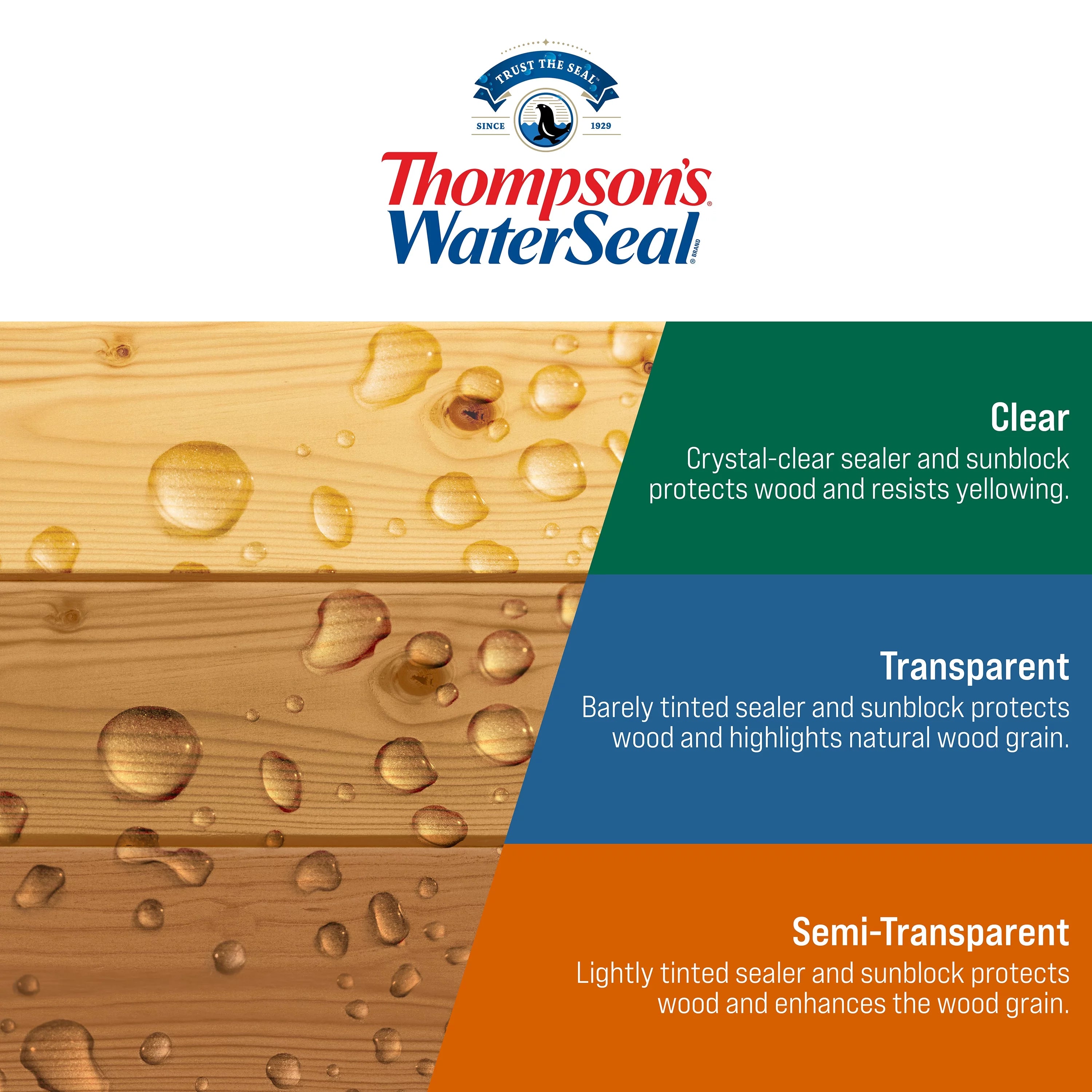 Thompson's WaterSeal Clear Wood Sealer, 5 Gallon R418945