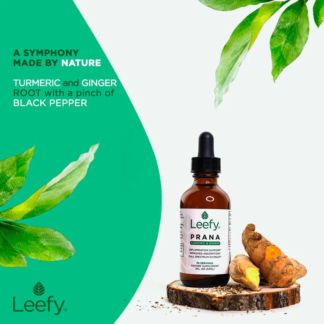 Leefy Organics PRANA V933