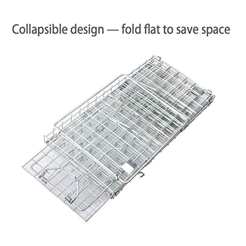 Heavy Duty Live Animal Trap for Squirrels and Small Rabbits V8753