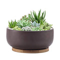Terracotta Shallow Succulent Planter, 8 Inch Planter Pot with Bamboo Tray, Clay Flower Pot Indoor and Outdoor Planter with Drainage Hole, Brown…
