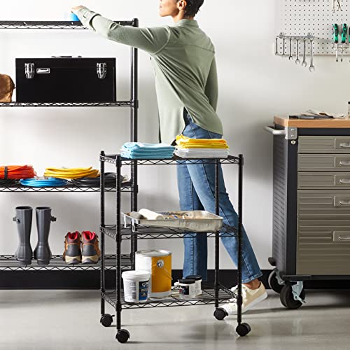 Amazon Basics 5-Shelf Heavy Duty Storage Shelving Unit on Casters, Black A813013