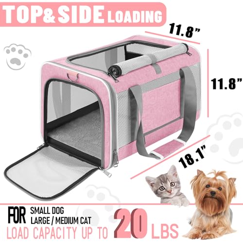 Pet Carrier for Large Cats and Small Dogs, Soft Sided Top Load Travel Bag Z16110