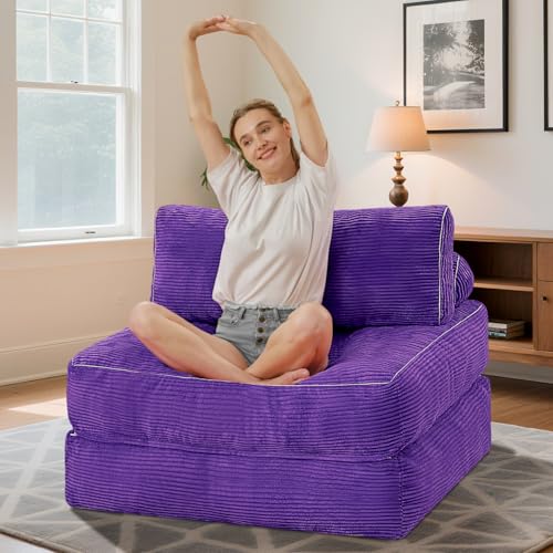HABUTWAY Folding Sofa Bed Convertible Sleeper Chair with Dual-Pillow, Black D26880