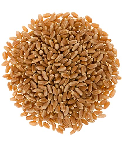Hard Red Spring Wheat Berries 25 lbs Non-GMO Kosher N815033