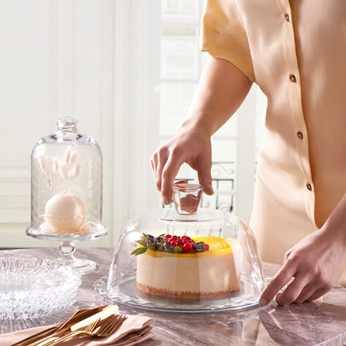 Glass Cake Stand with Dome 10 inch Serving Platter P128