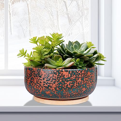 8 Inch Terracotta Planter with Bamboo Saucer for Succulent Bonsai L93293