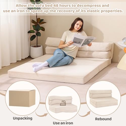 Folding Sofa Bed Convertible Sleeper Chair with Pillow, Grey D49904