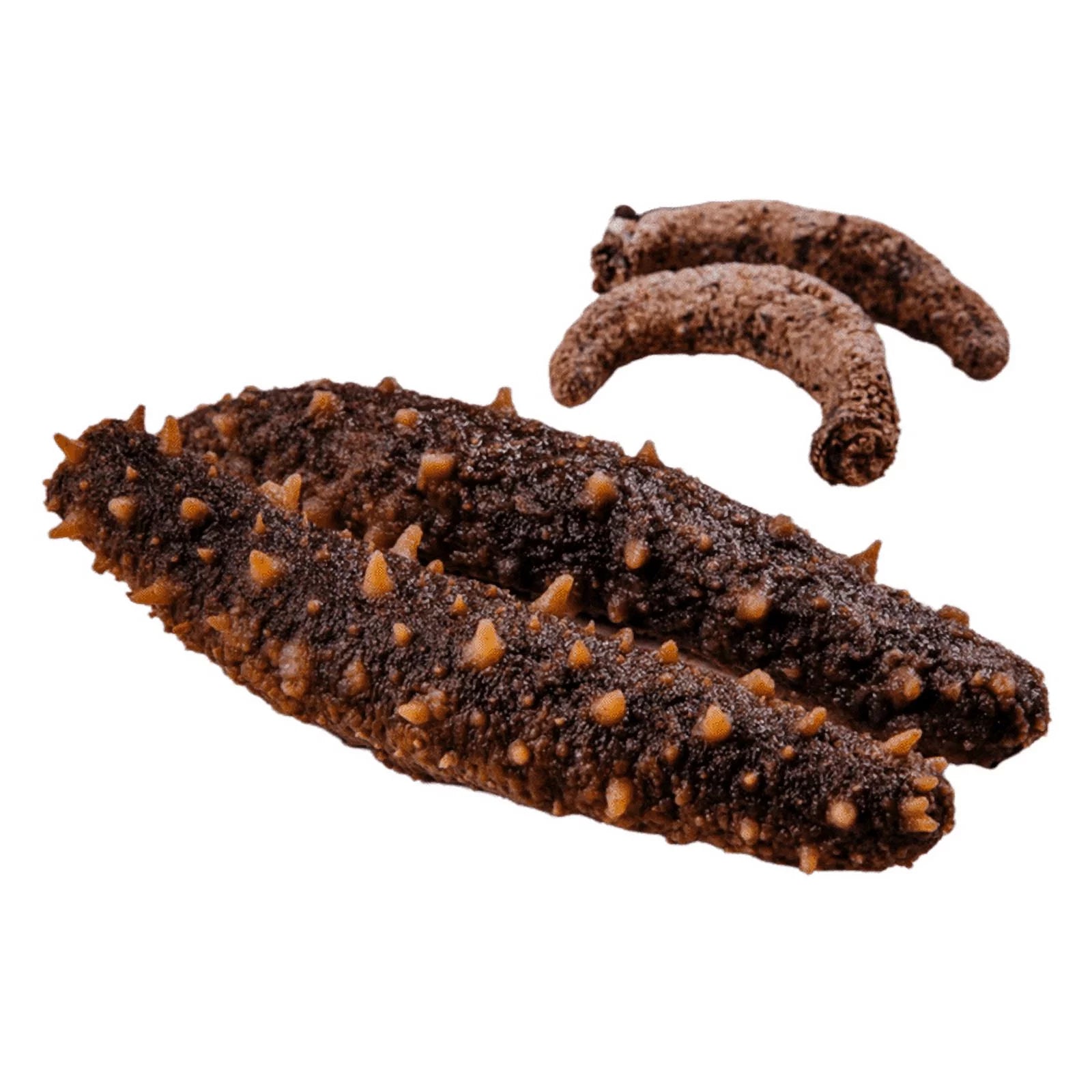 Royal Seafood USA Alaska Dried Wild Caught Sea Cucumber Medium 4oz Z9929