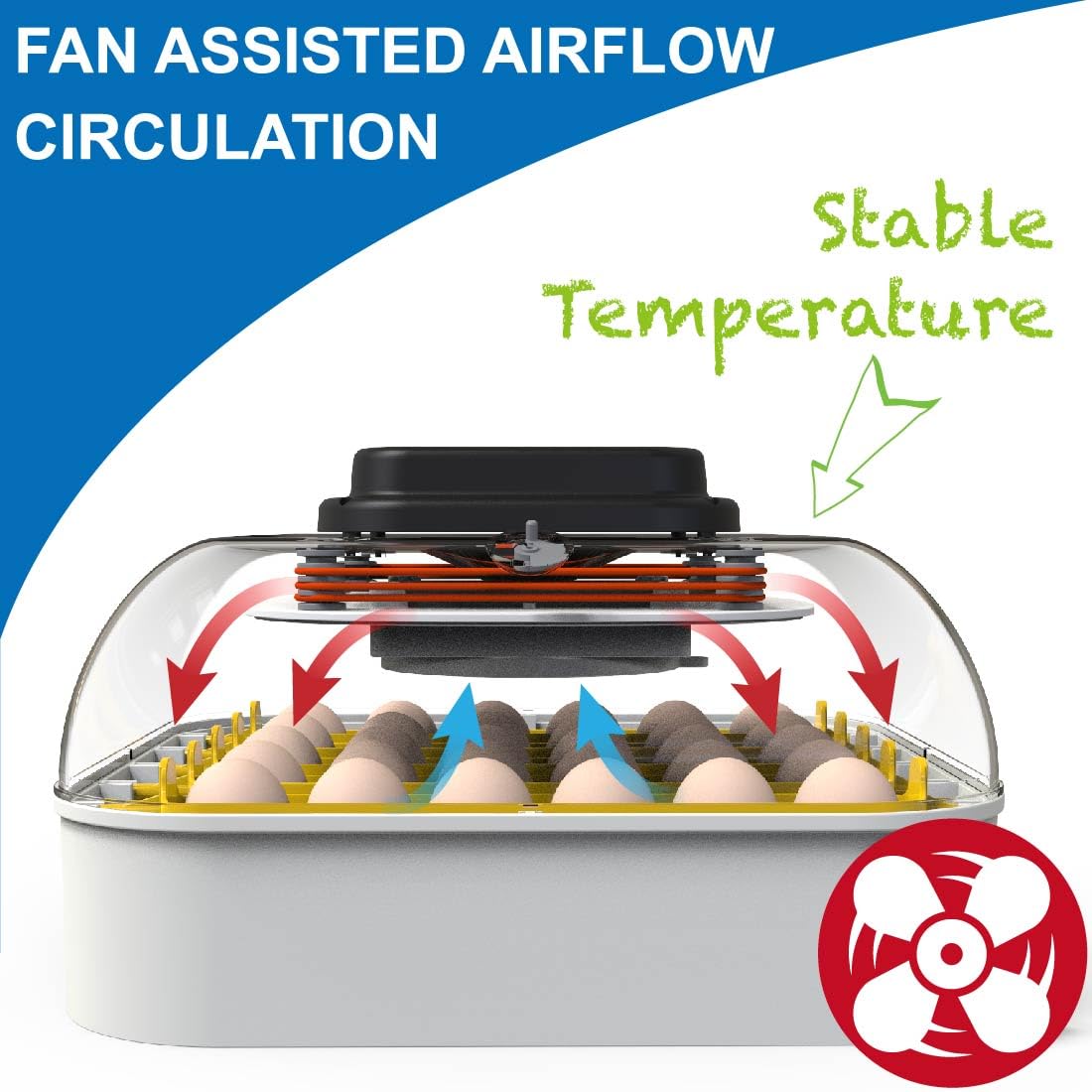 MATICOOPX 30 Egg Incubator with Humidity Display and Automatic Egg Turner U324671