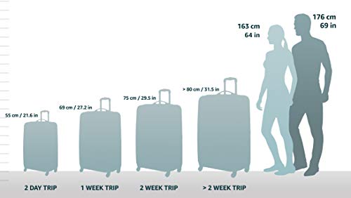 Samsonite Winfield 2 Hardside Luggage, Carry-On 20-Inch, Artic Pink I7857