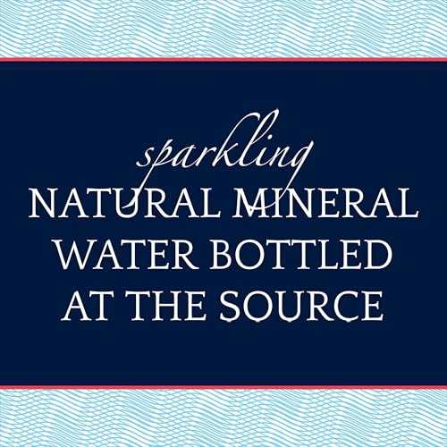 S.Pellegrino Sparkling Natural Mineral Water, 16.9 Fl Oz, Pack of 12 C792508