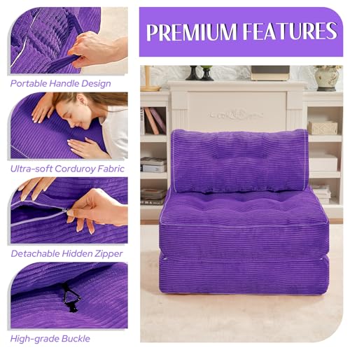 HABUTWAY Folding Sofa Bed Convertible Sleeper Chair with Dual-Pillow, Black D26880
