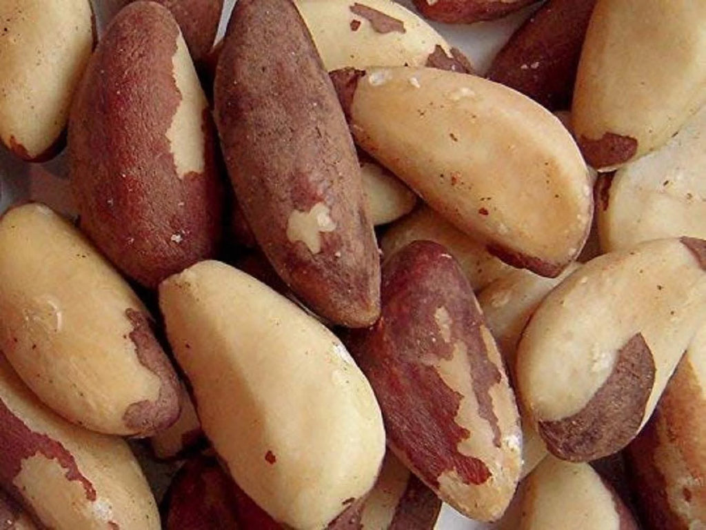 Raw Brazil Nuts B7979