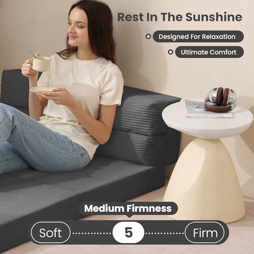 Folding Sofa Bed Convertible Sleeper Chair with Pillow, Grey D49904