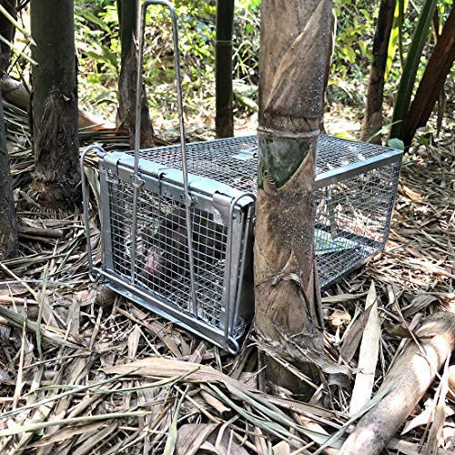 Humane Live Chipmunk Trap for Rats and Mice H443
